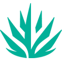 absolutelyscottsdale.com icon