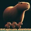 acapivaradeucria.com.br icon