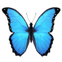 andreakaye.com icon