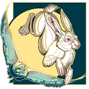 anichollstattoos.com icon