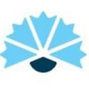 askolankokoomus.fi icon