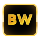 behindwoods.com icon