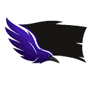blackbannersafety.com icon