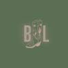 brianaleemusic.com icon
