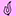 burlesquehall.com icon