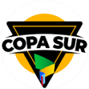 cfcopasur.com icon