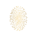 clsimone.com icon