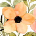 coachingwithsuzi.com icon