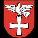 devinskanovaves.sk icon