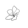 dviimusic.com icon
