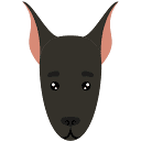 dyreven.com icon