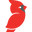 editions-cardinal.ca icon