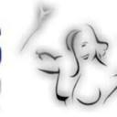 fisicos21.com icon