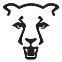 gomountainlions.com icon