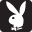 iplayboy.com icon