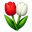 jumava.lv icon
