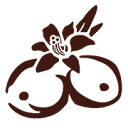 karolgmusic.com icon