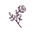 kimberlyrosependleton.com icon