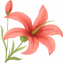 lilyeden.org icon