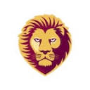 lions.com.au icon