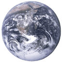 maggiewang.org icon