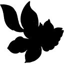 mariapaez.com.ar icon
