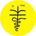 martevisual.com icon