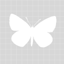 michellefitness.com icon