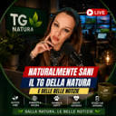 naturalmentesanitg.eu icon