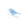 navynoo.com icon