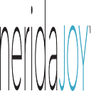 neridajoy.com icon