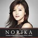 norika.ne.jp icon