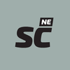 northeaststrengthculture.uk icon
