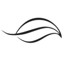 paradedesign.com icon