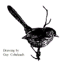 pasadenaaudubon.org icon