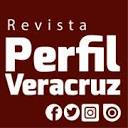 perfilveracruz.com icon
