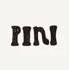 pini.co icon