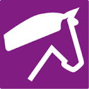 ponymag.com icon