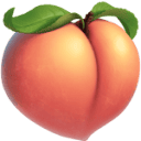 rahyndee-james.com icon