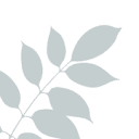 raisingnobles.com icon