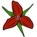 redtrilliumst.com icon