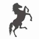 rideegypt.com icon