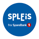 spleis.no icon