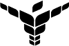staystrongsc.com icon