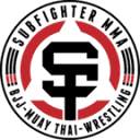 subfighterhess.com icon