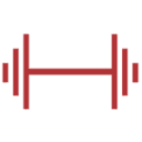 susanniebergallfitness.com icon