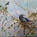 susansmithartist.co.uk icon