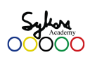 sykora-academy.com icon