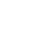 theryleeofficial.com icon