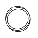 thesomaticyogainstitute.com icon